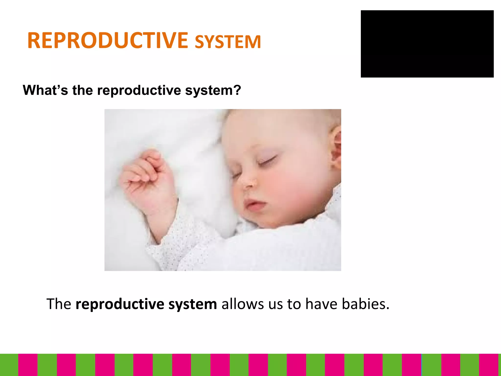 The reproductive system allows us to have babies.
REPRODUCTIVE SYSTEM
What’s the reproductive system?
 