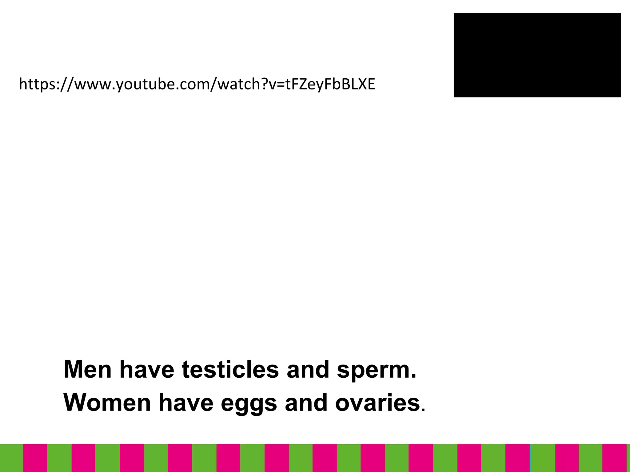 https://www.youtube.com/watch?v=tFZeyFbBLXE
Men have testicles and sperm.
Women have eggs and ovaries.
 