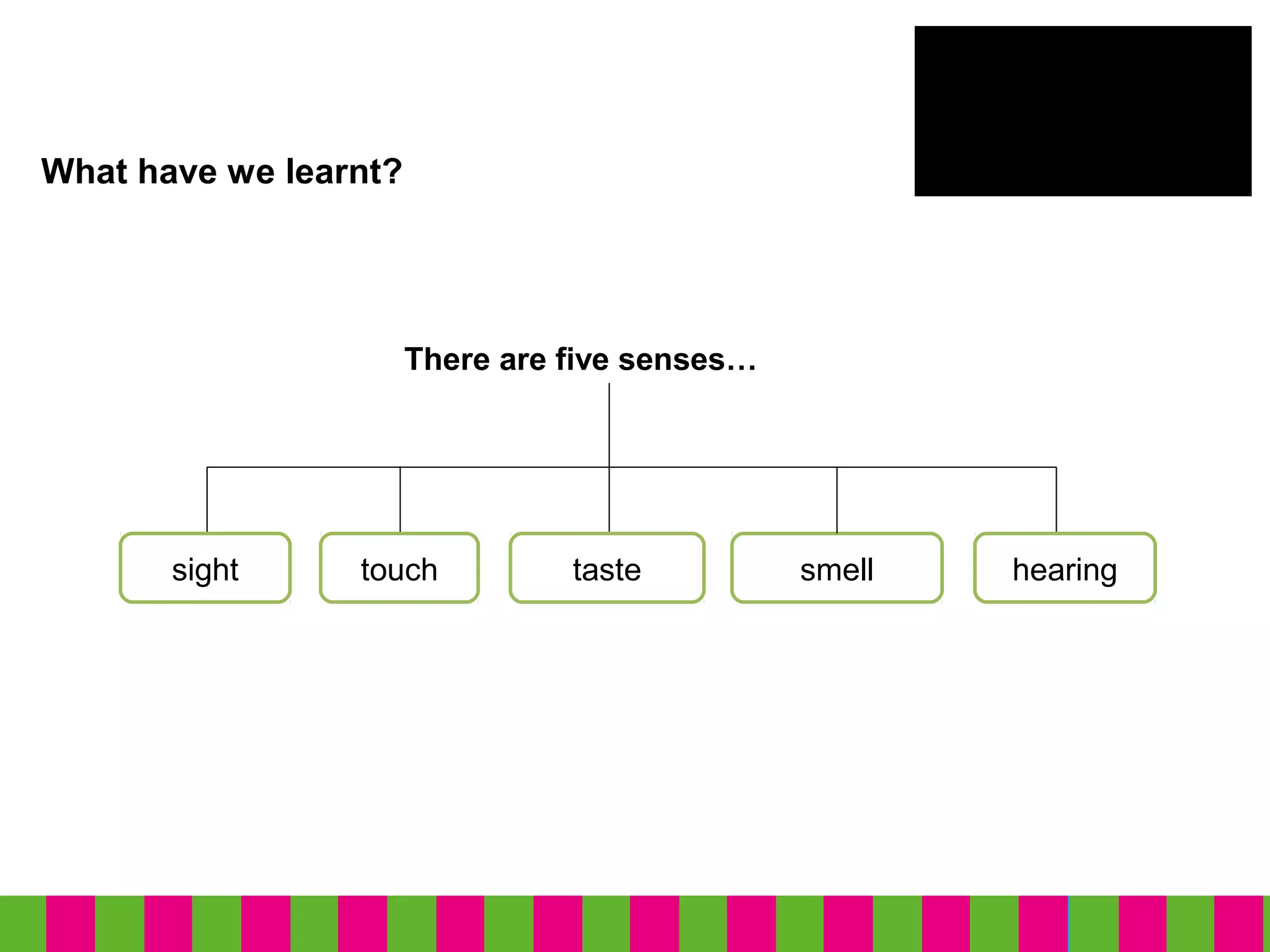 What have we learnt?
sight touch taste
There are five senses…
smell hearing
 