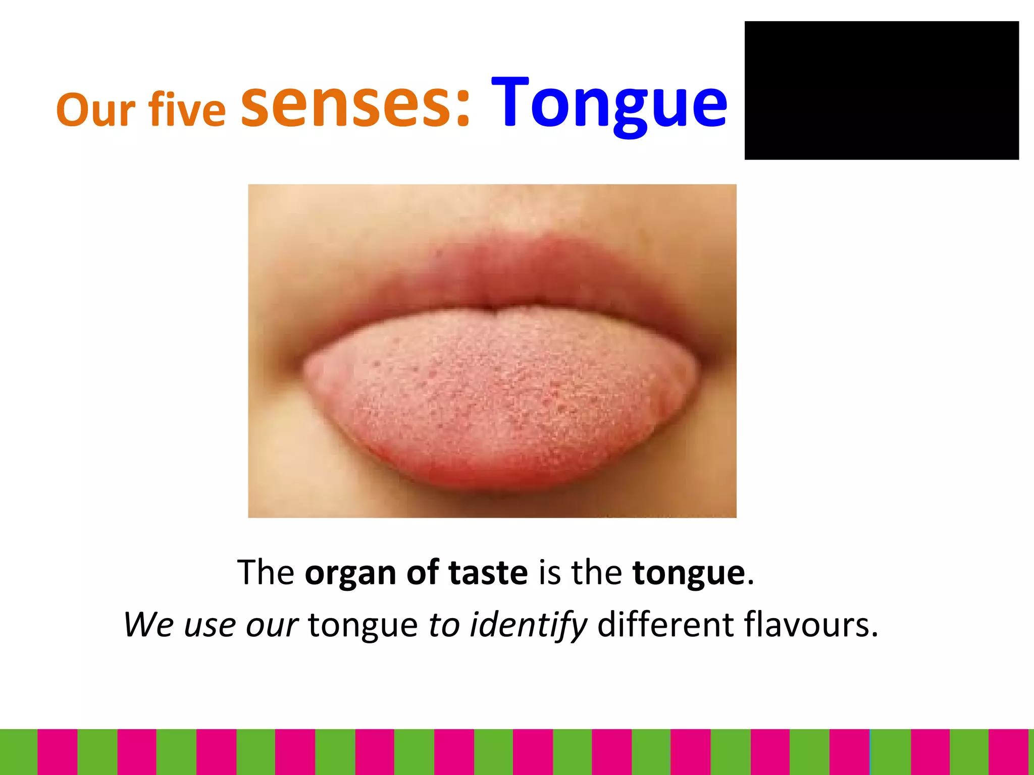The organ of taste is the tongue.
We use our tongue to identify different flavours.
Our five senses: Tongue
 