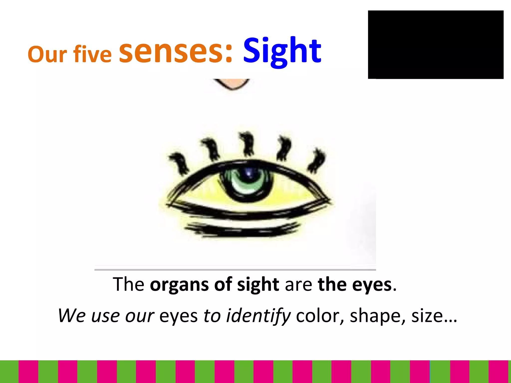 The organs of sight are the eyes.
We use our eyes to identify color, shape, size…
Our five senses: Sight
 