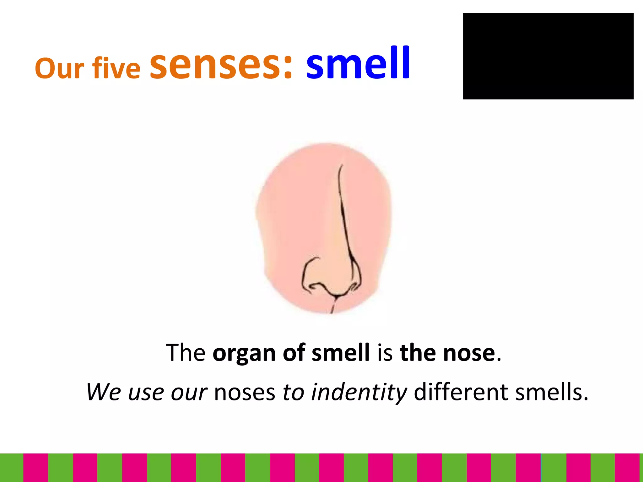 The organ of smell is the nose.
We use our noses to indentity different smells.
Our five senses: smell
 