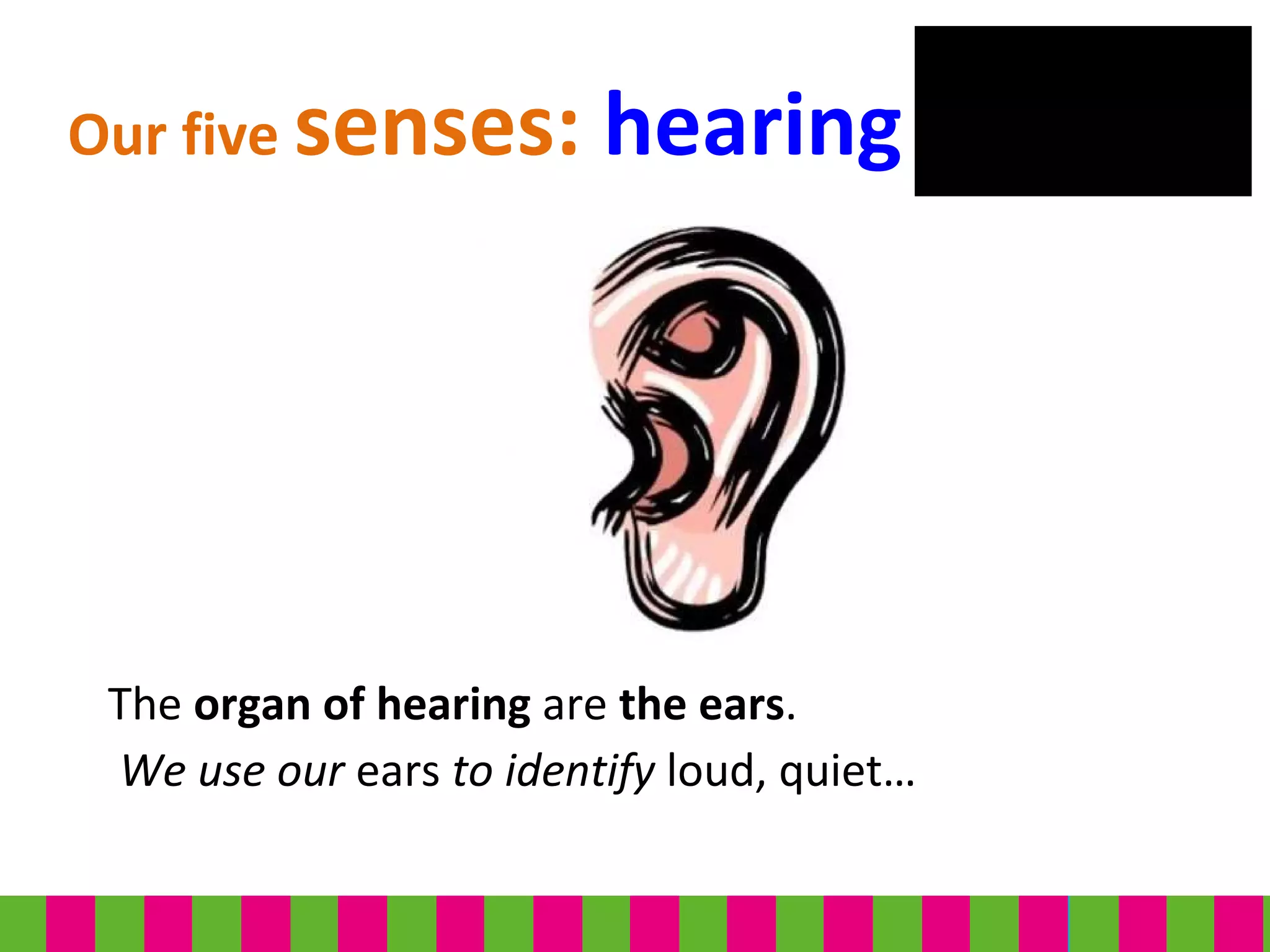 The organ of hearing are the ears.
We use our ears to identify loud, quiet…
Our five senses: hearing
 