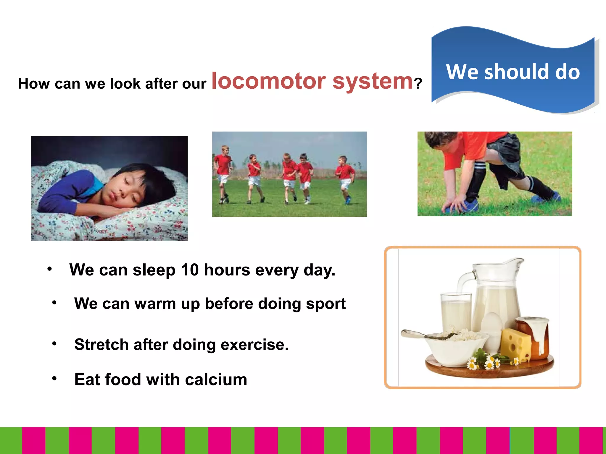 How can we look after our locomotor system?
• We can warm up before doing sport
• Stretch after doing exercise.
• We can sleep 10 hours every day.
We should doWe should do
• Eat food with calcium