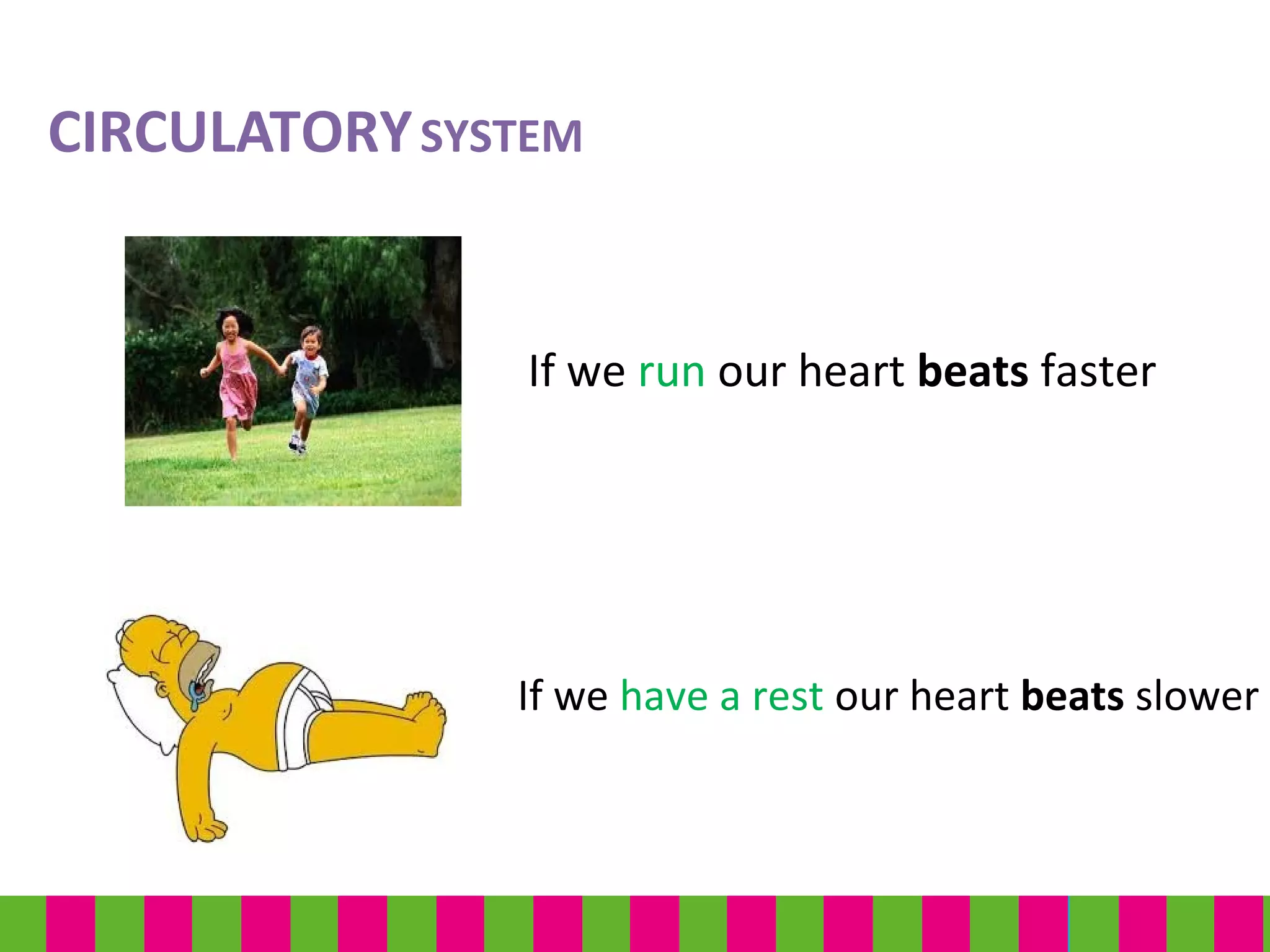 If we run our heart beats faster
If we have a rest our heart beats slower
CIRCULATORYSYSTEM