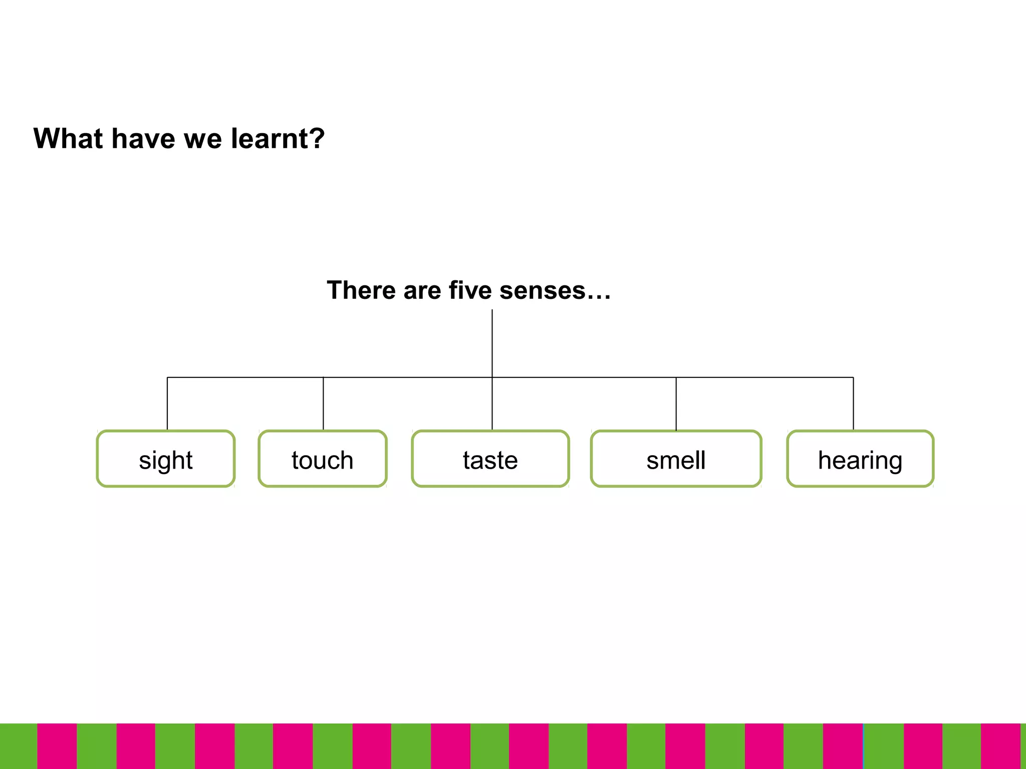 What have we learnt?
sight touch taste
There are five senses…
smell hearing