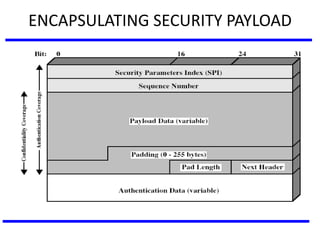 ENCAPSULATING SECURITY PAYLOAD
 