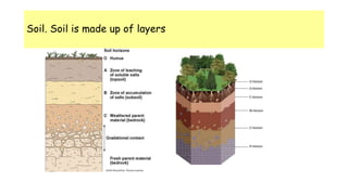 Soil. Soil is made up of layers
 