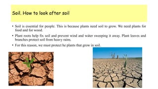 Soil. How to look after soil
• Soil is essential for people. This is because plants need soil to grow. We need plants for
food and for wood.
• Plant roots help fix soil and prevent wind and wáter sweeping it away. Plant leaves and
branches protect soil from heavy rains.
• For this reason, we must protect he plants that grow in soil.
 
