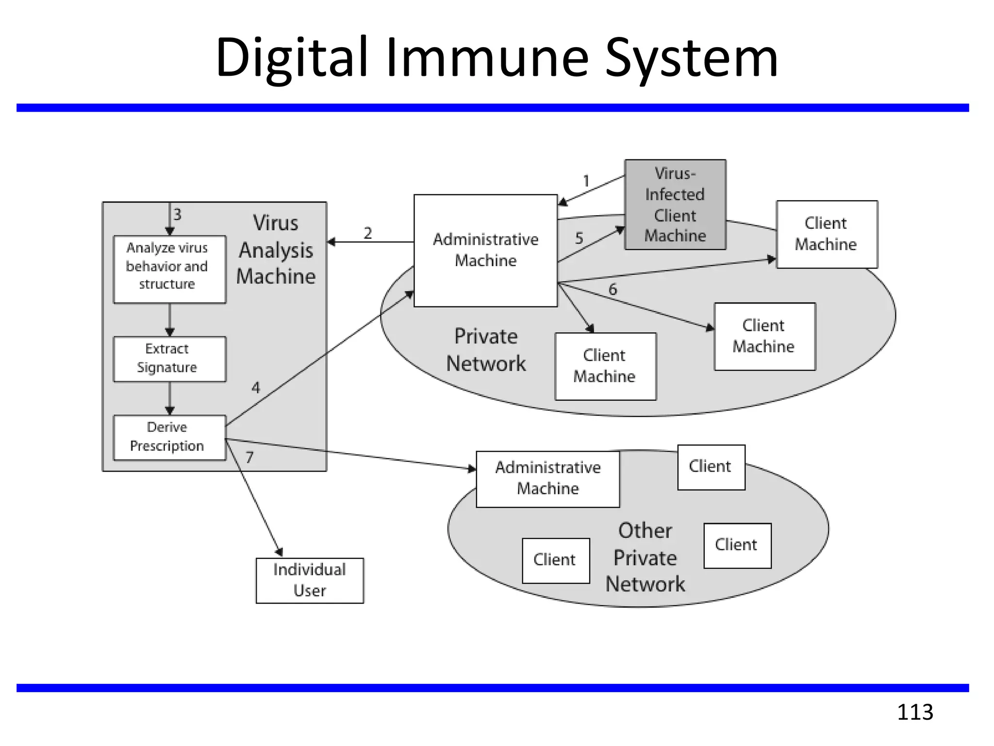Digital Immune System
113
 