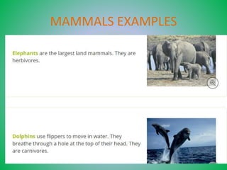 Mammals One Example Unit 4. mammals and birds | PPTX