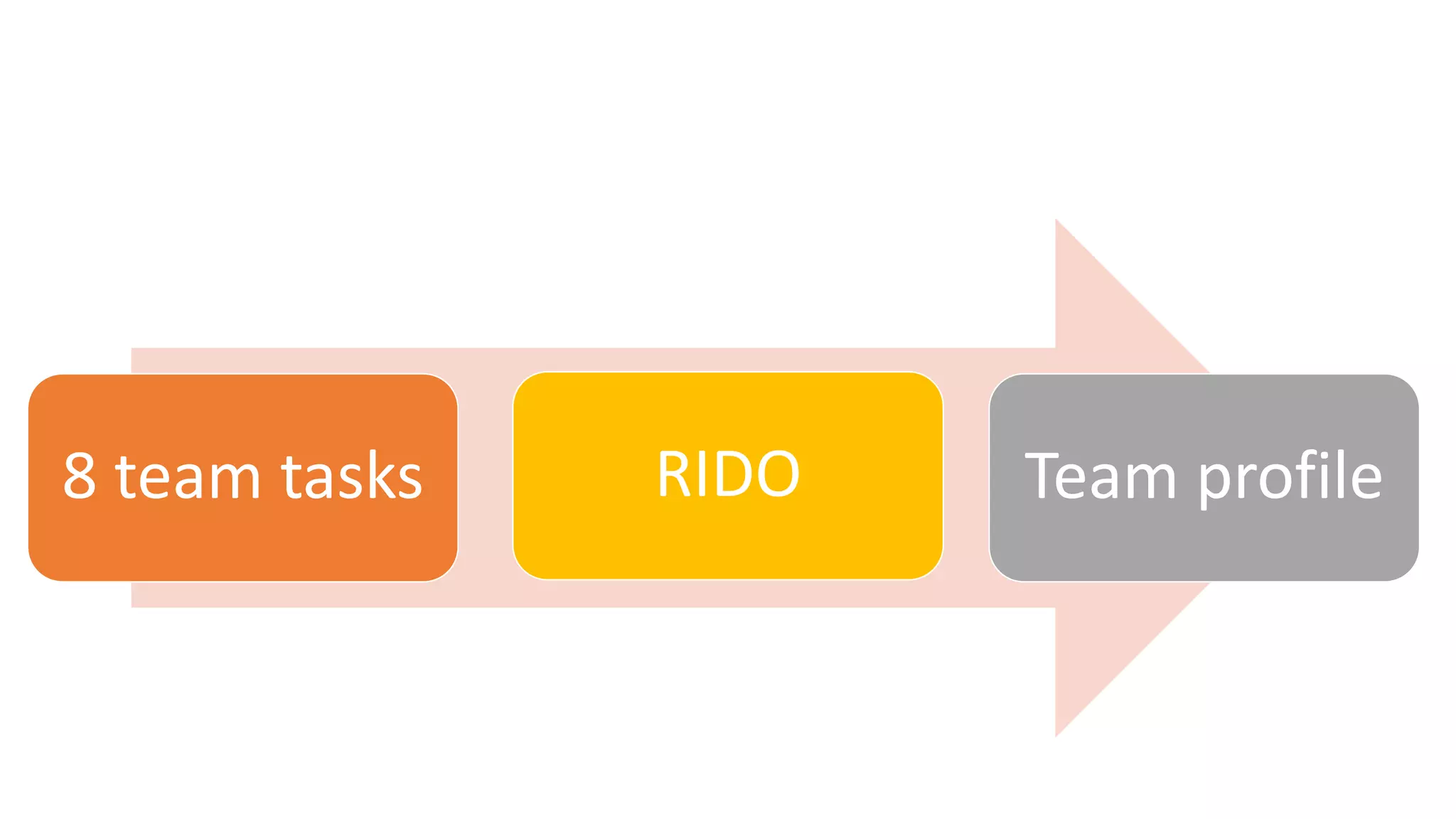 8 team tasks Team profileRIDO
 