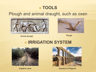  TOOLS
Plough and animal draught, such as oxen
 IRRIGATION SYSTEM
Irrigation canal Aqueduct of Segovia
PloughAnimal draught
 