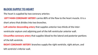 BLOOD SUPPLY TO HEART
The heart is supplied by two coronary arteries:
LEFT MAIN CORONARY ARTERY carries 80% of the flow to the heart muscle. It is a
short artery that divides into two branches.
Left anterior descending artery that supplies anterior two-thirds of the inter-
ventricular septum and adjoining part of the left ventricular anterior wall.
Circumflex coronary artery that supplies blood to the lateral and posterior portions
of the left ventricle.
RIGHT CORONARY ARTERY: branches supply the right ventricle, right atrium, and
left ventricle's inferior wall.
 