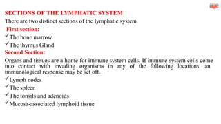 SECTIONS OF THE LYMPHATIC SYSTEM
There are two distinct sections of the lymphatic system.
First section:
The bone marrow
The thymus Gland
Second Section:
Organs and tissues are a home for immune system cells. If immune system cells come
into contact with invading organisms in any of the following locations, an
immunological response may be set off.
Lymph nodes
The spleen
The tonsils and adenoids
Mucosa-associated lymphoid tissue
 