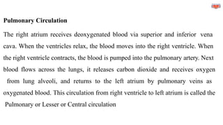 Pulmonary Circulation
The right atrium receives deoxygenated blood via superior and inferior vena
cava. When the ventricles relax, the blood moves into the right ventricle. When
the right ventricle contracts, the blood is pumped into the pulmonary artery. Next
blood flows across the lungs, it releases carbon dioxide and receives oxygen
from lung alveoli, and returns to the left atrium by pulmonary veins as
oxygenated blood. This circulation from right ventricle to left atrium is called the
Pulmonary or Lesser or Central circulation
 