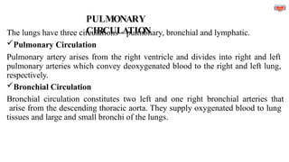 PULMONARY
CIRCULATION
The lungs have three circulations—pulmonary, bronchial and lymphatic.
Pulmonary Circulation
Pulmonary artery arises from the right ventricle and divides into right and left
pulmonary arteries which convey deoxygenated blood to the right and left lung,
respectively.
Bronchial Circulation
Bronchial circulation constitutes two left and one right bronchial arteries that
arise from the descending thoracic aorta. They supply oxygenated blood to lung
tissues and large and small bronchi of the lungs.
 