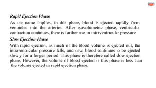 Rapid Ejection Phase
As the name implies, in this phase, blood is ejected rapidly from
ventricles into the arteries. After isovolumetric phase, ventricular
contraction continues, there is further rise in intraventricular pressure.
Slow Ejection Phase
With rapid ejection, as much of the blood volume is ejected out, the
intraventricular pressure falls, and now, blood continues to be ejected
slowly for a longer period. This phase is therefore called slow ejection
phase. However, the volume of blood ejected in this phase is less than
the volume ejected in rapid ejection phase.
 