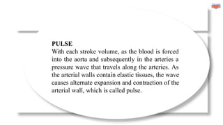 PULSE
With each stroke volume, as the blood is forced
into the aorta and subsequently in the arteries a
pressure wave that travels along the arteries. As
the arterial walls contain elastic tissues, the wave
causes alternate expansion and contraction of the
arterial wall, which is called pulse.
 