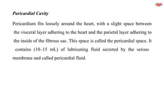 Paricardial Cavity
Pericardium fits loosely around the heart, with a slight space between
the visceral layer adhering to the heart and the parietal layer adhering to
the inside of the fibrous sac. This space is called the pericardial space. It
contains (10–15 mL) of lubricating fluid secreted by the serous
membrane and called pericardial fluid.
 
