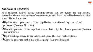 Functions of Capillaries
Four different forces, called starlings forces that act across the capillaries,
determine the net movement of substances, to and from the cell to blood and vice
versa. These forces are:
Hydrostatic pressure of the capillaries contributed by the blood
pressure (favours filtration)
Osmotic pressure of the capillaries contributed by the plasma proteins (favours
reabsorption)
Hydrostatic pressure in the interstitial space (favours reabsorption).
Osmotic pressure in the interstitial space (favours filtration)
 