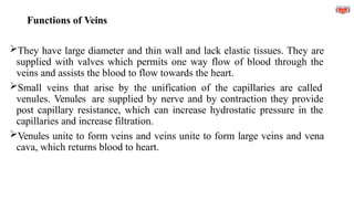 Functions of Veins
They have large diameter and thin wall and lack elastic tissues. They are
supplied with valves which permits one way flow of blood through the
veins and assists the blood to flow towards the heart.
Small veins that arise by the unification of the capillaries are called
venules. Venules are supplied by nerve and by contraction they provide
post capillary resistance, which can increase hydrostatic pressure in the
capillaries and increase filtration.
Venules unite to form veins and veins unite to form large veins and vena
cava, which returns blood to heart.
 