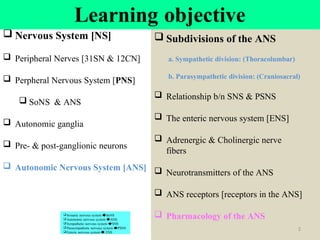  Nervous System [NS]
 Peripheral Nerves [31SN & 12CN]
 Perpheral Nervous System [PNS]
 SoNS & ANS
 Autonomic ganglia
 Pre- & post-ganglionic neurons
 Autonomic Nervous System [ANS]
 Subdivisions of the ANS
a. Sympathetic division: (Thoracolumbar)
b. Parasympathetic division: (Craniosacral)
 Relationship b/n SNS & PSNS
 The enteric nervous system [ENS]
 Adrenergic & Cholinergic nerve
fibers
 Neurotransmitters of the ANS
 ANS receptors [receptors in the ANS]
 Pharmacology of the ANS
2
Learning objective
Somatic nervous system 🡆SoNS
Autonomic nervous system 🡆ANS
Sympathetic nervous system 🡆SNS
Parasympathetic nervous system 🡆PSNS
Enteric nervous system 🡆 ENS
 