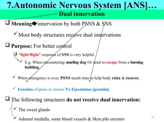 Dual innervation
 Meaning🡆innervation by both PSNS & SNS
Most body structures receive dual innervations
 Purpose: For better control
 “fight/flight” response of SNS is very helpful
 E.g. When encountering snarling dog Or need to escape from a burning
building.
 When emergency is over, PSNS needs time to help body relax & recover.
 Eruction of penis or clitoris Vs Ejaculation [gentalia]
 The following structures do not receive dual innervation:
 The sweat glands
 Adrenal medulla, some blood vessels & Skin pilo erectors
7.Autonomic Nervous System [ANS]…
25
 