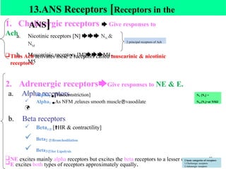 1. Cholinergic receptors 🡆 Give responses to
Ach
a. Nicotinic receptors [N] 🡆🡆🡆 NN &
NM
b. Muscarinic receptors [M]🡆🡆🡆M1-
M5
Thus Ach activates these 2 receptors called muscarinic & nicotinic
receptors.
2. Adrenergic receptors🡆Give responses to NE & E.
a. Alpha receptors
 Alpha1 🡆[Vasoconstriction]
 Alpha2 🡆As NFM ,relaxes smooth musclevasodilate

b. Beta receptors
 Beta1 [🠙HR & contractility]
 Beta2 Bronchodilation
 Beta3for Lipolysis
NE excites mainly alpha receptors but excites the beta receptors to a lesser extent as well.
E excites both types of receptors approximately equally.
13.ANS Receptors [Receptors in the
ANS]
2 basic categories of receptors
1.Cholinergic receptors
2.Adrenergic receptors
2 principal receptors of Ach
NN [N2] =
NM [N1]=at NMJ
 