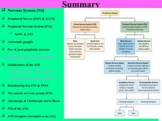  Par
49
Summary
 Nervous System [NS]
 Peripheral Nerves [31SN & 12 CN]
 Perpheral Nervous System [PNS]
 SoNS & ANS
 Autonomic ganglia
 Pre- & post-ganglionic neurons
 Autonomic Nervous System [ANS]
 Subdivisions of the ANS
Sympathetic division: (Thoracolumbar)
Parasympathetic division: (Craniosacral)
 Relationship b/n SNS & PSNS
 The enteric nervous system [ENS
 Adrenergic & Cholinergic nerve fibers
 NTs of the ANS
 ANS receptors [receptors in the ANS]
 