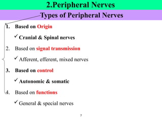Types of Peripheral Nerves
1. Based on Origin
Cranial & Spinal nerves
2. Based on signal transmission
Afferent, efferent, mixed nerves
3. Based on control
Autonomic & somatic
4. Based on functions
General & special nerves
7
2.Peripheral Nerves
 