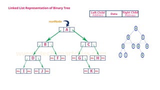 Linked List Representation of Binary Tree
 