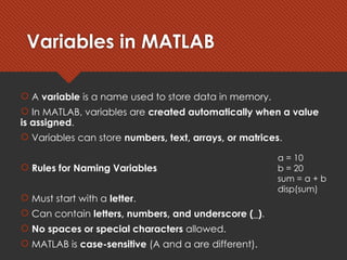 Comprehensive Introduction to MATLAB: Environment, Matrices, Functions ...