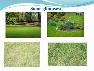 Some glimpses:
 