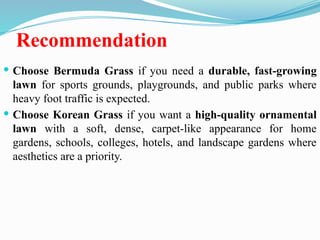 Recommendation
 Choose Bermuda Grass if you need a durable, fast-growing
lawn for sports grounds, playgrounds, and public parks where
heavy foot traffic is expected.
 Choose Korean Grass if you want a high-quality ornamental
lawn with a soft, dense, carpet-like appearance for home
gardens, schools, colleges, hotels, and landscape gardens where
aesthetics are a priority.
 