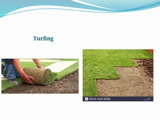 Turfing
 