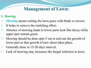 Management of Lawn:
1. Mowing
- Mowing means cutting the lawn grass with blade or mower.
- It helps to remove the mulching effect.
- Absence of mowing leads to lower parts look like decay while
upper part remain green.
- Mowing should be done upto 5 cm to activate the growth of
lower part so that growth of new shoot takes place.
- Generally done in 15-20 days interval.
- Lack of mowing may increases the fungal infection in lawn.
 
