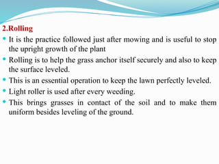2.Rolling
 It is the practice followed just after mowing and is useful to stop
the upright growth of the plant
 Rolling is to help the grass anchor itself securely and also to keep
the surface leveled.
 This is an essential operation to keep the lawn perfectly leveled.
 Light roller is used after every weeding.
 This brings grasses in contact of the soil and to make them
uniform besides leveling of the ground.
 