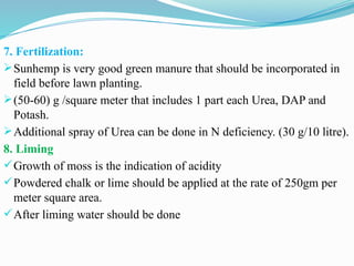 7. Fertilization:
Sunhemp is very good green manure that should be incorporated in
field before lawn planting.
(50-60) g /square meter that includes 1 part each Urea, DAP and
Potash.
Additional spray of Urea can be done in N deficiency. (30 g/10 litre).
8. Liming
Growth of moss is the indication of acidity
Powdered chalk or lime should be applied at the rate of 250gm per
meter square area.
After liming water should be done
 