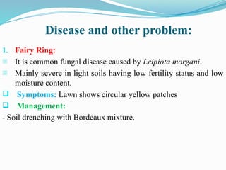 Disease and other problem:
1. Fairy Ring:
- It is common fungal disease caused by Leipiota morgani.
- Mainly severe in light soils having low fertility status and low
moisture content.
 Symptoms: Lawn shows circular yellow patches
 Management:
- Soil drenching with Bordeaux mixture.
 