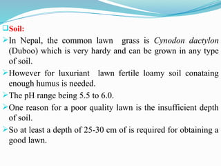 Soil:
In Nepal, the common lawn grass is Cynodon dactylon
(Duboo) which is very hardy and can be grown in any type
of soil.
However for luxuriant lawn fertile loamy soil conataing
enough humus is needed.
The pH range being 5.5 to 6.0.
One reason for a poor quality lawn is the insufficient depth
of soil.
So at least a depth of 25-30 cm of is required for obtaining a
good lawn.
 