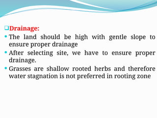 Drainage:
 The land should be high with gentle slope to
ensure proper drainage
 After selecting site, we have to ensure proper
drainage.
 Grasses are shallow rooted herbs and therefore
water stagnation is not preferred in rooting zone
 