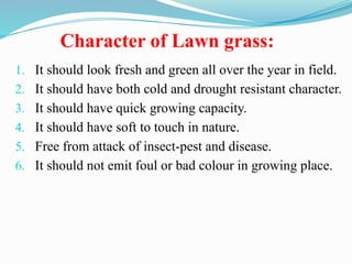 Character of Lawn grass:
1. It should look fresh and green all over the year in field.
2. It should have both cold and drought resistant character.
3. It should have quick growing capacity.
4. It should have soft to touch in nature.
5. Free from attack of insect-pest and disease.
6. It should not emit foul or bad colour in growing place.
 