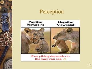 Perception
23
 