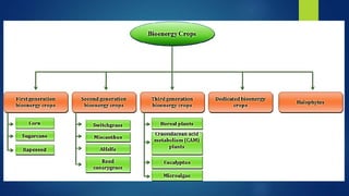 Biomass energy