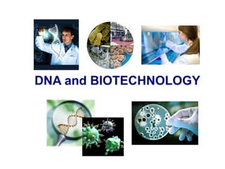 DNA and BIOTECHNOLOGY

 