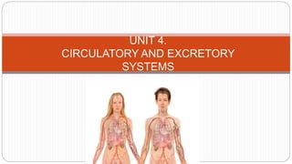 UNIT 4.
CIRCULATORY AND EXCRETORY
SYSTEMS
 