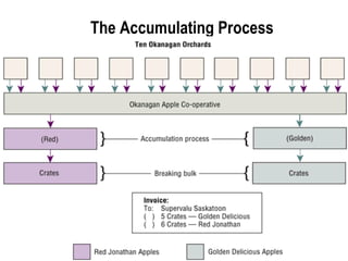 The Accumulating Process 