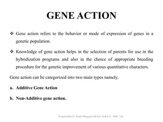 GENE ACTION
 Gene action refers to the behavior or mode of expression of genes in a
genetic population.
 Knowledge of gene action helps in the selection of parents for use in the
hybridization programs and also in the choice of appropriate breeding
procedure for the genetic improvement of various quantitative characters.
Gene action can be categorized into two main types namely,
a. Additive Gene Action
b. Non-Additive gene action.
Prepared by Dr. Sushil Neupane (B.V.Sc. and A.H., IAAS, TU)
 