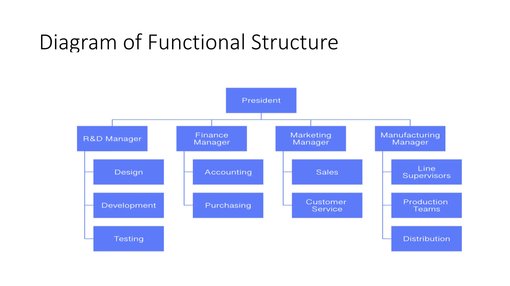 Diagram of Functional Structure
 